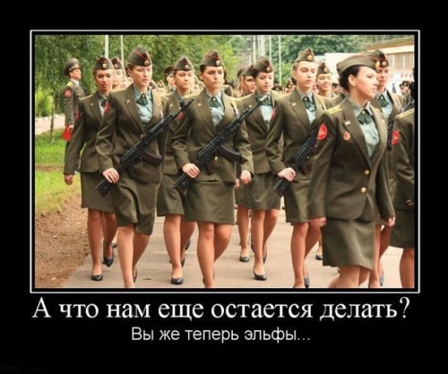 : .jpeg
: 545

: 106.9 