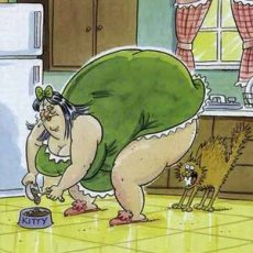 :  .jpeg
: 282

: 17.8 