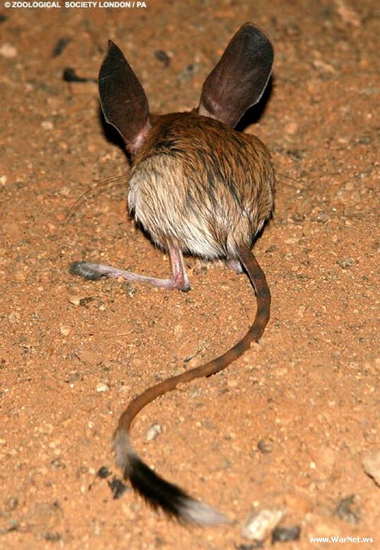 : 1.jpeg
: 6334

: 92.3 