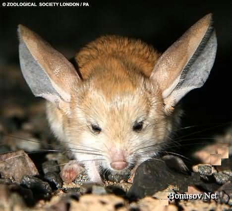 : 3.jpeg
: 893

: 30.1 