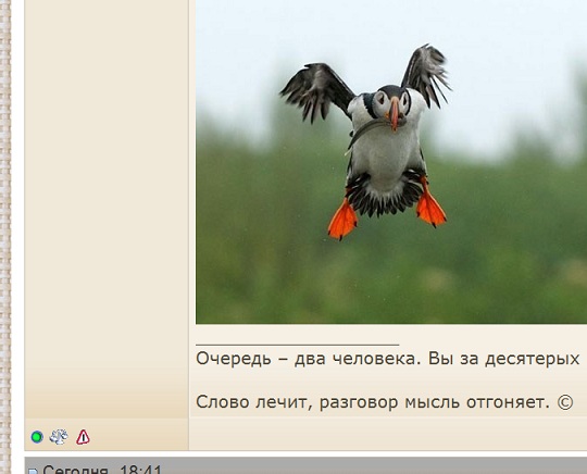 : 222.jpeg
: 336

: 49.7 