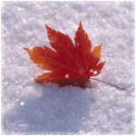 : efd4993c907b.gif
: 620

: 117.4 