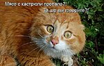     
: 1360784539.jpg
: 501
:	53.6 
ID:	2765