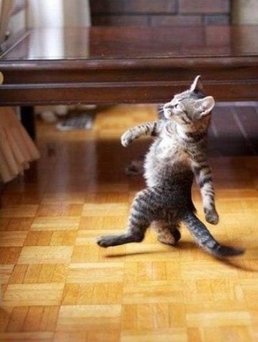 ��������: 55.jpeg
����������: 489

������: 27.7 ��