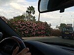     
: 20130628_185808.jpg
: 1224
:	79.6 
ID:	3173