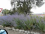     
: 20130628_185813.jpg
: 1094
:	144.5 
ID:	3174