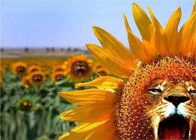 Название: 1.jpeg
Просмотров: 289
Размер: 31.7 Кб