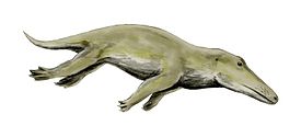 : Ambulocetus.jpeg
: 3063

: 4.9 
