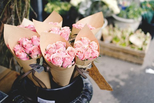 : 1.jpeg
: 313

: 40.2 