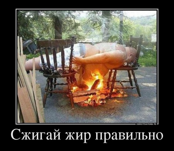 : .jpeg
: 206

: 90.9 