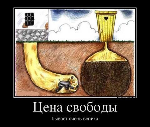 :  .JPEG
: 353

: 32.5 