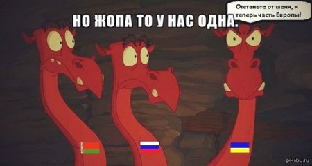 : .jpeg
: 341

: 18.1 