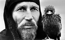 :  3.jpeg
: 414

: 43.9 