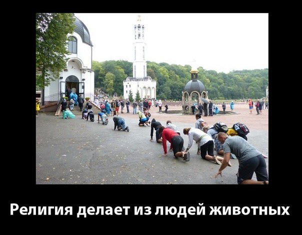 : .jpeg
: 507

: 54.6 