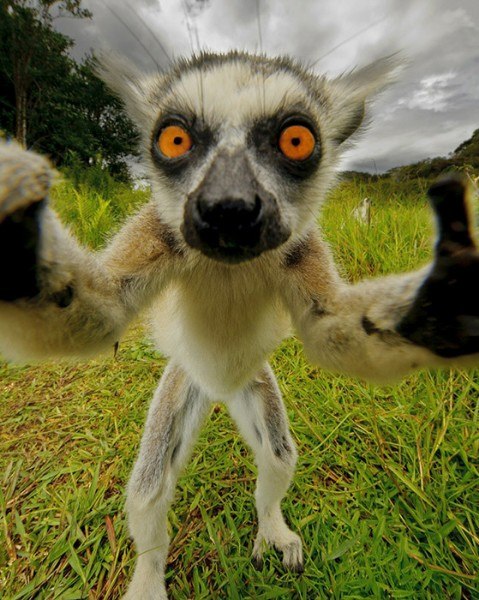 : 1.jpeg
: 343

: 88.9 