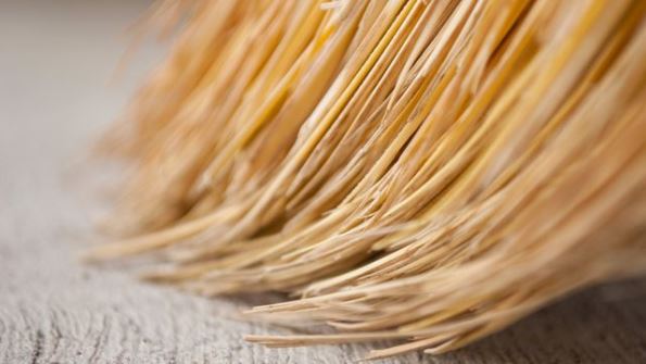 : 4.jpeg
: 343

: 29.4 