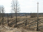     
: DSCN0840.jpg
: 1026
:	135.2 
ID:	5582