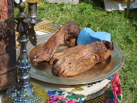 :  .jpeg
: 437

: 81.6 