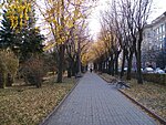     
: 100_4459.jpg
: 1181
:	180.5 
ID:	5950