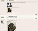     
: 4.jpg
: 1116
:	54.8 
ID:	6078