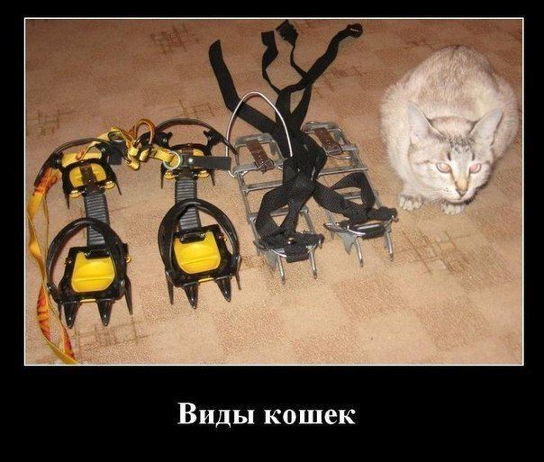 :  .jpeg
: 369

: 59.2 