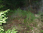     
: DSCN0947.jpg
: 1702
:	153.1 
ID:	6220