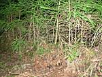     
: DSCN0948.jpg
: 1679
:	235.6 
ID:	6221