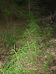     
: DSCN0949.jpg
: 1750
:	170.2 
ID:	6222