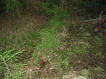     
: DSCN0950.jpg
: 1680
:	169.7 
ID:	6223