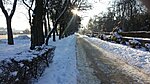     
: 20160126_153310.jpg
: 227
:	117.2 
ID:	6278