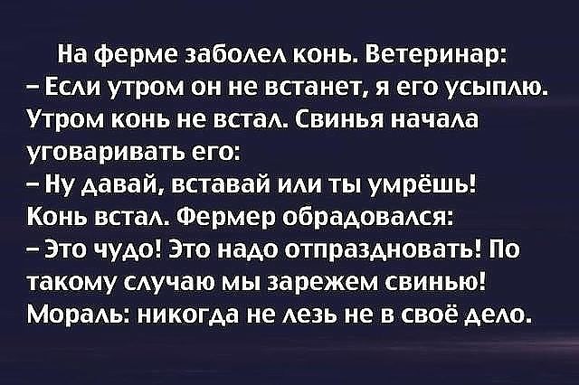:  .jpeg
: 535

: 74.5 
