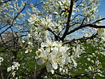     
: DSCN2586.jpg
: 237
:	127.0 
ID:	6396