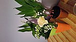     
: IMG-1462130684560-V.jpg
: 859
:	55.4 
ID:	6498