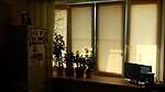     
: 20160629_151326.jpg
: 402
:	49.9 
ID:	6525