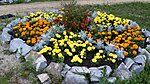     
: 20160705_204234.jpg
: 372
:	129.5 
ID:	6578