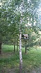     
: 20160705_064551.jpg
: 449
:	133.3 
ID:	6580