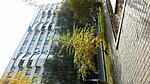     
: 20161106_133339.jpg
: 252
:	120.5 
ID:	6808