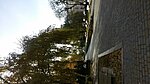     
: 20161106_133306.jpg
: 245
:	92.8 
ID:	6810