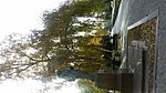     
: 20161106_133255.jpg
: 213
:	110.3 
ID:	6811