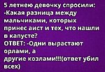     
:   .jpg
: 253
:	66.3 
ID:	7281