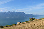     
: IMG_8562.jpg
: 450
:	71.6 
ID:	7462