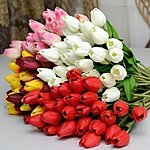     
: IMG_20180304_080801_1.jpg
: 280
:	52.6 
ID:	7629
