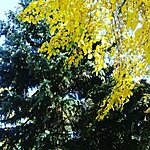     
: image (2).jpg
: 396
:	196.9 
ID:	7761