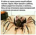     
:  .jpg
: 252
:	50.2 
ID:	7766