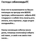     
: 4.jpg
: 241
:	83.5 
ID:	8191