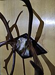     
: IMG_20220116_220635.jpg
: 860
:	109.5 
ID:	8364