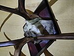     
: IMG_20220116_220417.jpg
: 831
:	119.0 
ID:	8365