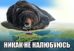     
: aueuKZu56rw.jpg
: 192
:	58.5 
ID:	8368