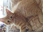     
: IMG_0002 (13).jpg
: 403
:	117.4 
ID:	8509