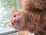     
: IMG_0218 (1).jpg
: 281
:	131.0 
ID:	8512